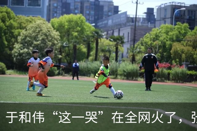 于和伟“这一哭”在全网火了，张艺谋的评价，终于有人信了
