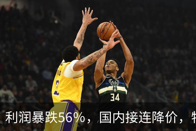 利润暴跌56％，国内接连降价，特斯拉的中国智驾何时兑现？