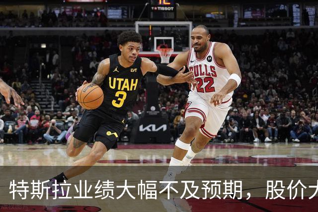 特斯拉业绩大幅不及预期，股价大跌