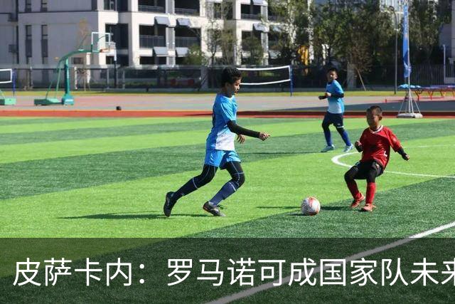 皮萨卡内：罗马诺可成国家队未来
