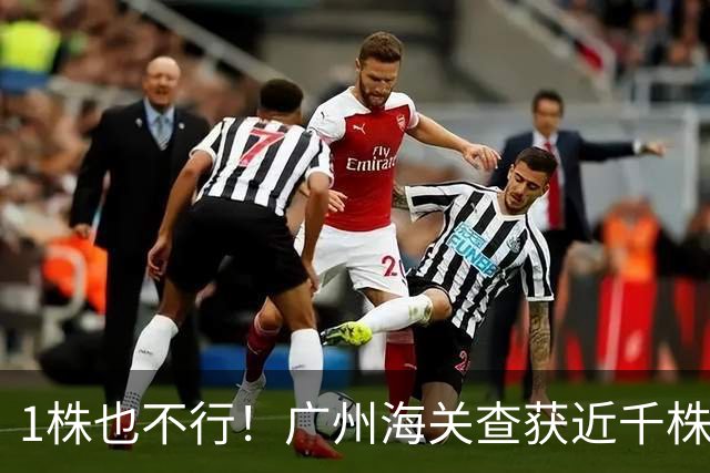 1株也不行！广州海关查获近千株盆栽，有625盆竟是“国宝级”植物